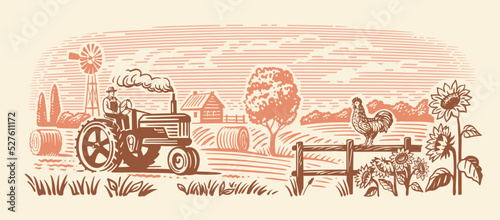 Country farm with tractor and rooster. Countryside line sketch