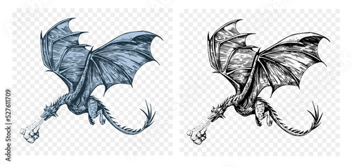 flying dragon illustration. Black ink vector sketch drawing