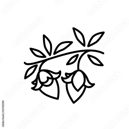 Jojoba pixel perfect linear icon. Exotic fruits. Botany. Miracle fruit. Brazilian plant. Thin line customizable illustration. Contour symbol. Vector isolated outline drawing.