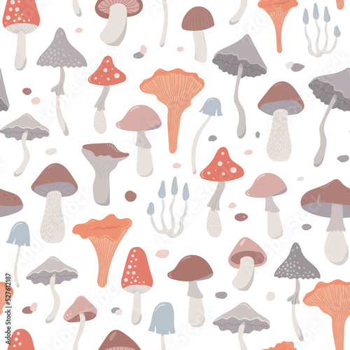 cute mushrooms with fly agaric and boletus. pattern