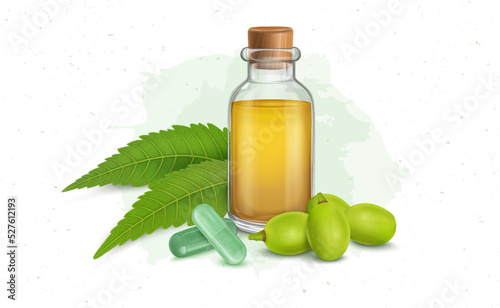 Neem Fruit and Oil with neem leaf and fruit vector illustration
