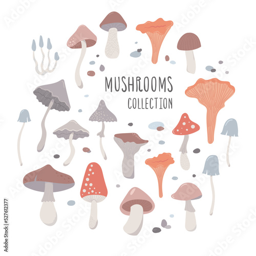 cute mushrooms with fly agaric and boletus. sticker set