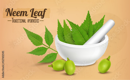 Ayurvedic medicinal neem leaves vector illustration with neem fruits isolated on brown background