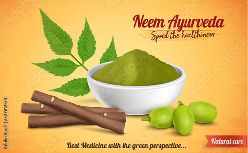 Ayurvedic Neem powder and neem fruit with leaves or neem chew sticks vector illustration