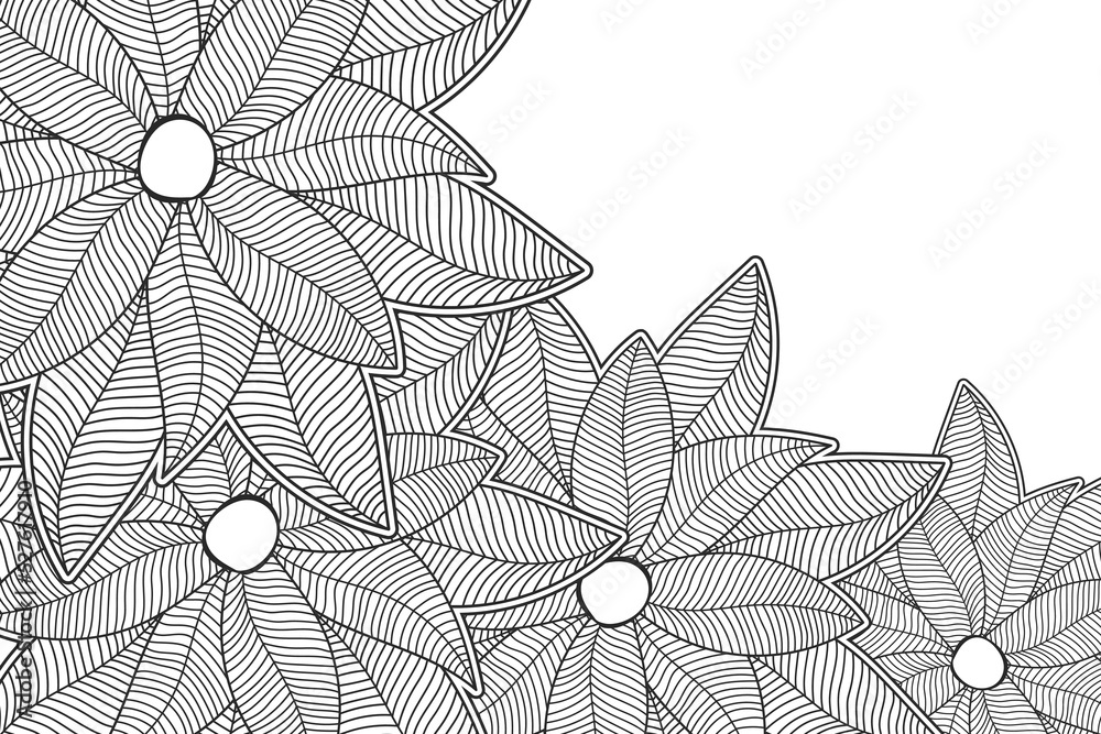 Obraz premium Abstract doodle sketch flower. Contemporary modern black and white trendy vector illustration.