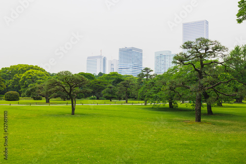 浜離宮恩賜公園の景色