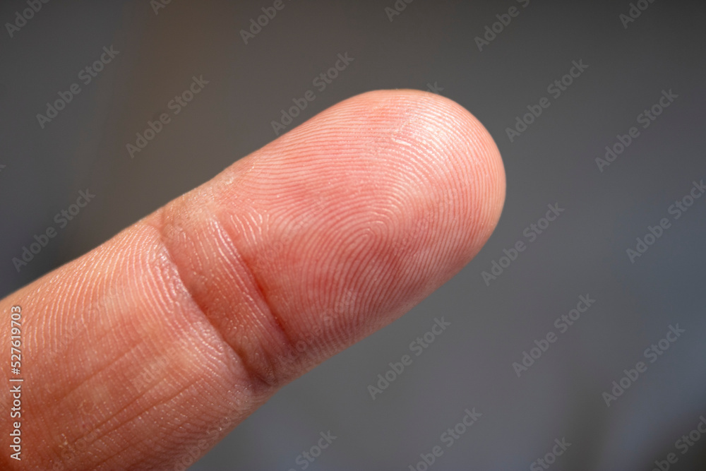 Fingerprints and skin. macro fingerprint Fingerprints and skin. macro fingerprint