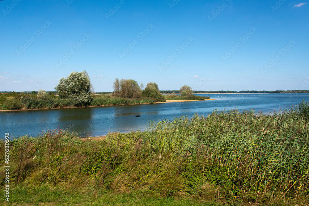 lac du Der, Chantecoq, Haute Marne, 52, Marne, 51