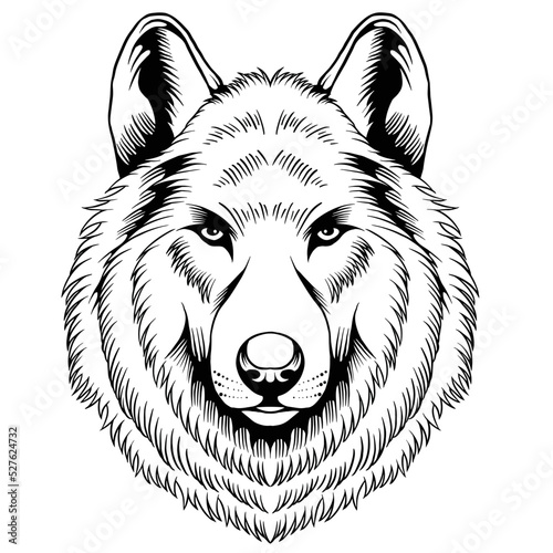 wolf head illustration in black and white