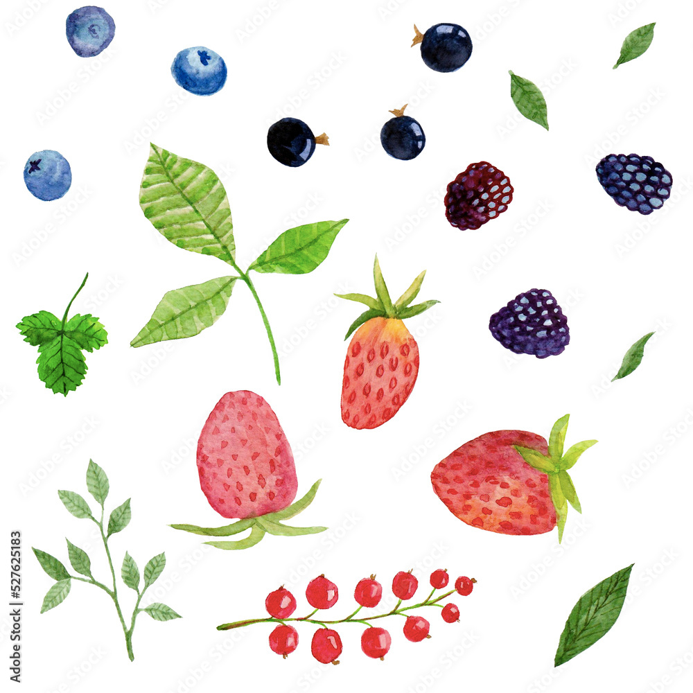 Watercolor set with berries and leaves Watercolor set with berries and leaves