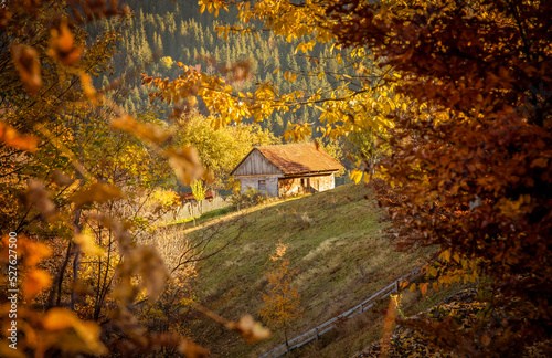 The colors and texture of autumn in beautiful sceneries, landscape, flowers and leaves
 photo