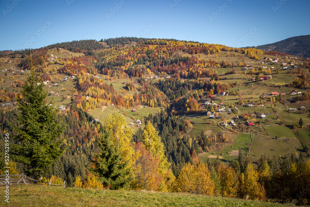 The colors and texture of autumn in beautiful sceneries, landscape, flowers and leaves
