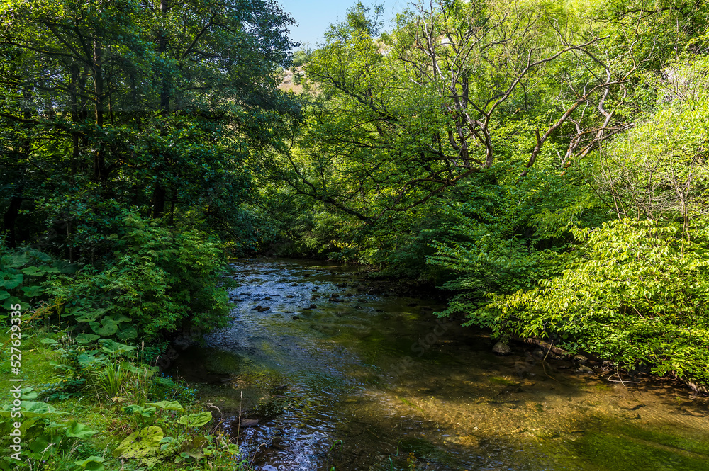 A view of a shady section of the River Wye from the Monsal Trail in Derbyshire, UK in summertime A view of a shady section of the River Wye from the Monsal Trail in Derbyshire, UK in summertime