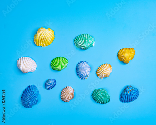 colorful shells © Sergio Delle Vedove