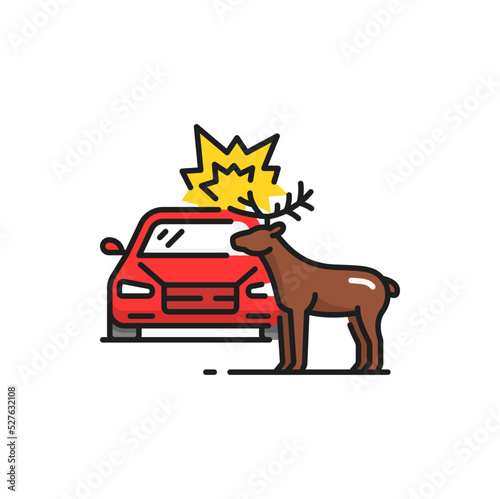 Automobile knocking down deer isolated vector road collision color line icon. Car or traffic accident with wild animal, injured moose or elk