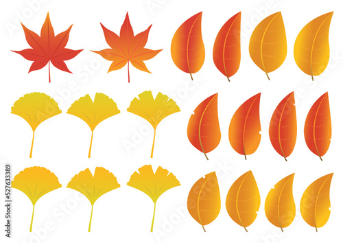 紅葉_秋_木の葉_セット
