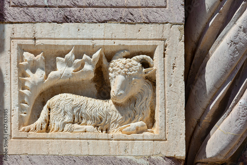 Detail of the carved marble frame of the side portal of the Cathedral of St Lawrence depicting a sheep next to an acanthus leaf, Grosseto, Tuscany, Italy photo