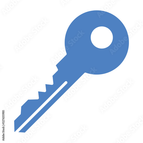 Key Glyph Two Color Icon