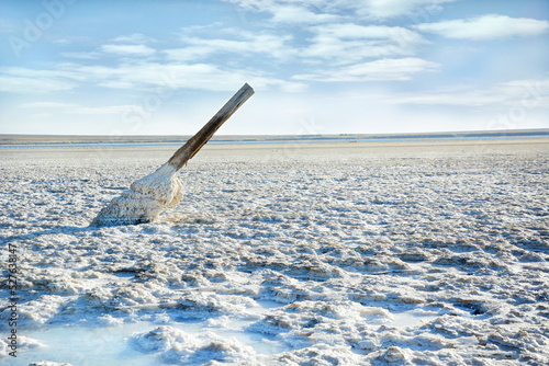 The stick was overgrown with salt crystals on the Baskunchak salt lake. picturesque landscape