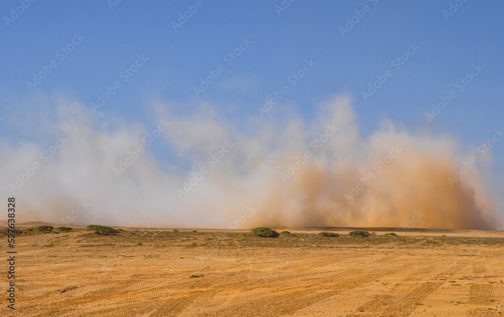 Dust storm in the Arabian desert