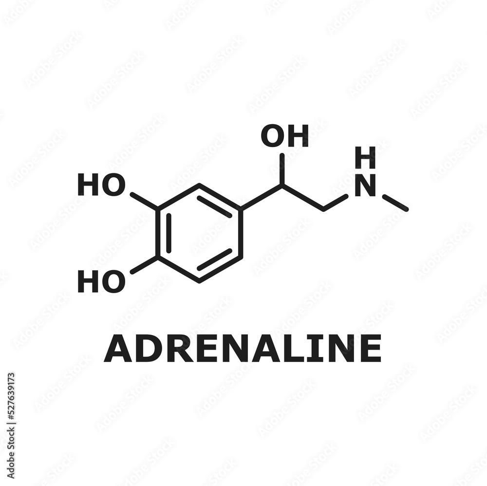 Epinephrine neurotransmitter, adrenaline molecule isolated thin line chemical structure. Vector neurotransmitter molecule, hormone chemical structure produced by adrenal glands, certain neurons Epinephrine neurotransmitter, adrenaline molecule isolated thin line chemical structure. Vector neurotransmitter molecule, hormone chemical structure produced by adrenal glands, certain neurons