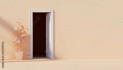 Open white door to a dark r...