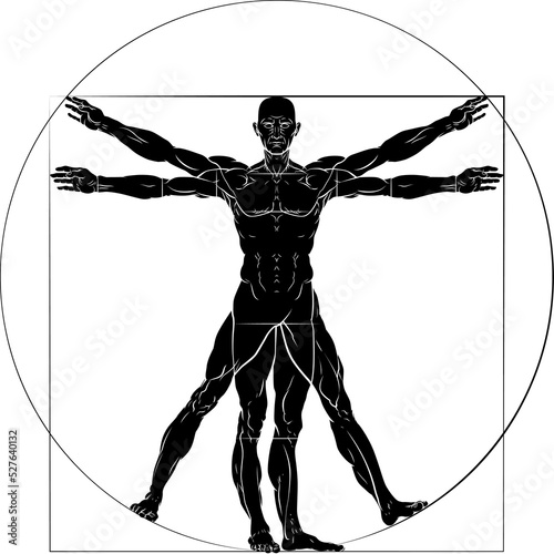 Vitruvian Man Da Vinci Style Figure photo