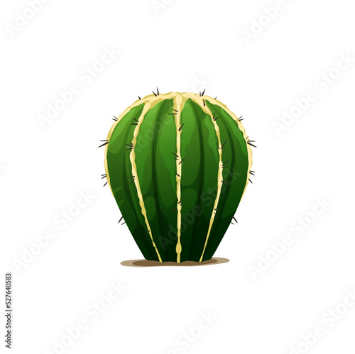 Barrel shape cactus isolated succulent scandinavian indian cacti. Vector prickly flower plant, desert decoration element, western opuntia tropical botanical cactus. Tropical spiky cactus sharp thorns