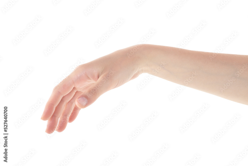 Female Hand is Reaching on Isolated White Background