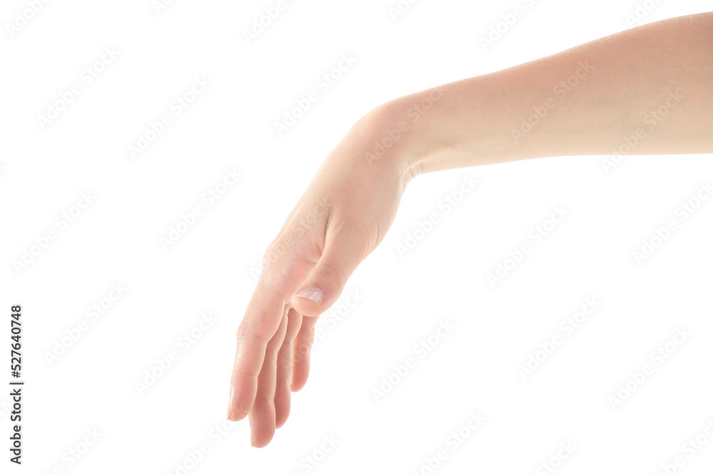 Female Hand is Reaching Gently on White Background