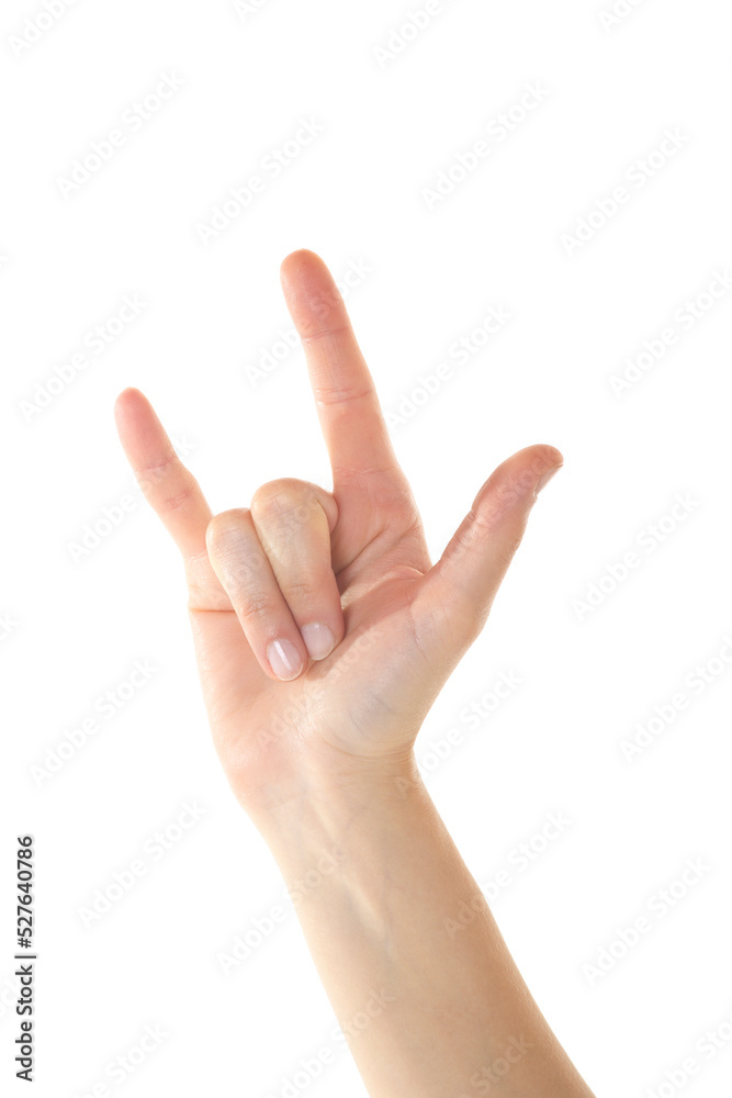 Female Hand is Making Rocker Sign on Isolated Background Female Hand is Making Rocker Sign on Isolated Background