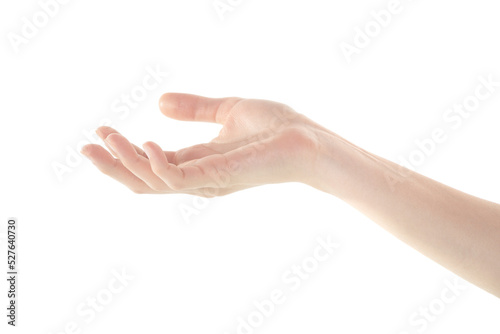 Female Hand is Presenting Something on Isolated White Background