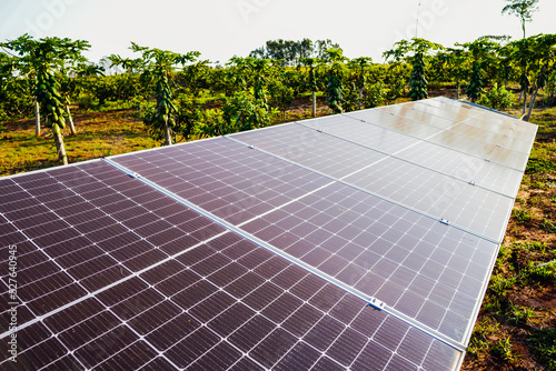 The solar panels for solar energy in a rural property in Mato Grosso do Sul. Solar energy has become an interesting alternative for rural producers who want to reduce bills.