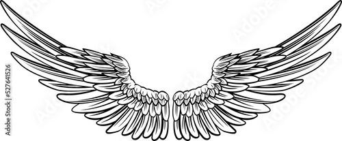 Canvas Print Pair of spread out eagle bird or angel wings