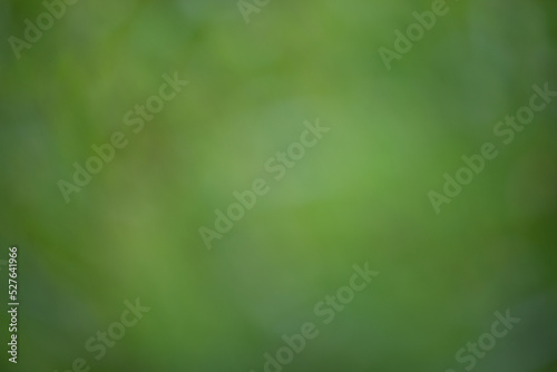 Leaf background on a green background