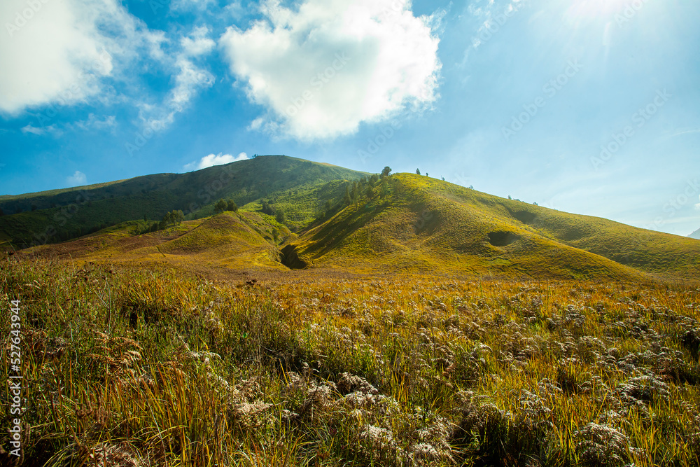Teletubbies Hill, a vast savanna, one of the tourist destinations in the Bromo Tengger Semeru tourist area in East Java, Indonesia. Teletubbies Hill, a vast savanna, one of the tourist destinations in the Bromo Tengger Semeru tourist area in East Java, Indonesia.