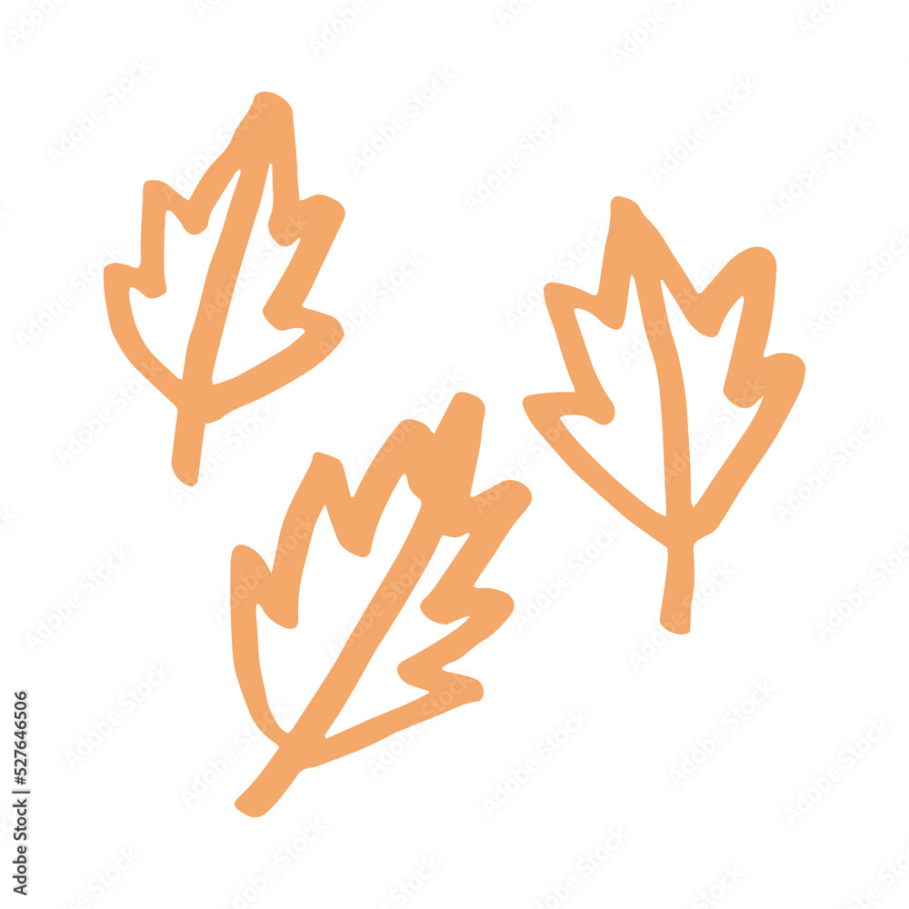 leaf hand drawn illustration design leaf hand drawn illustration design