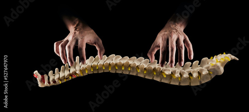 Manual therapist professionally treats human spine or backbone, on black background. Manual therapy concept and osteopathy