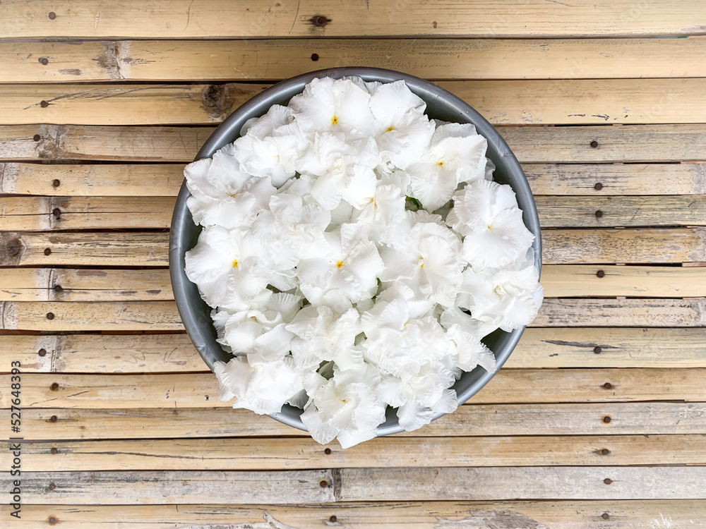 white jasmine flowers on a wooden background white jasmine flowers on a wooden background