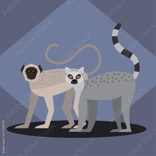gibbon and spider monkeys