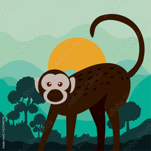 macaque monkey in jungle