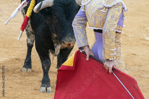 detail of a bull and a bullfighter with a sword in a bullfight. from the back.