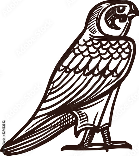 Horus falcon sketch, Ancient Egypt deity and mythology bird, vector icon. Ancient Egyptian sacred falcon bird deity and symbol of god Ra or Horus, mythology hand drawn sketch sign