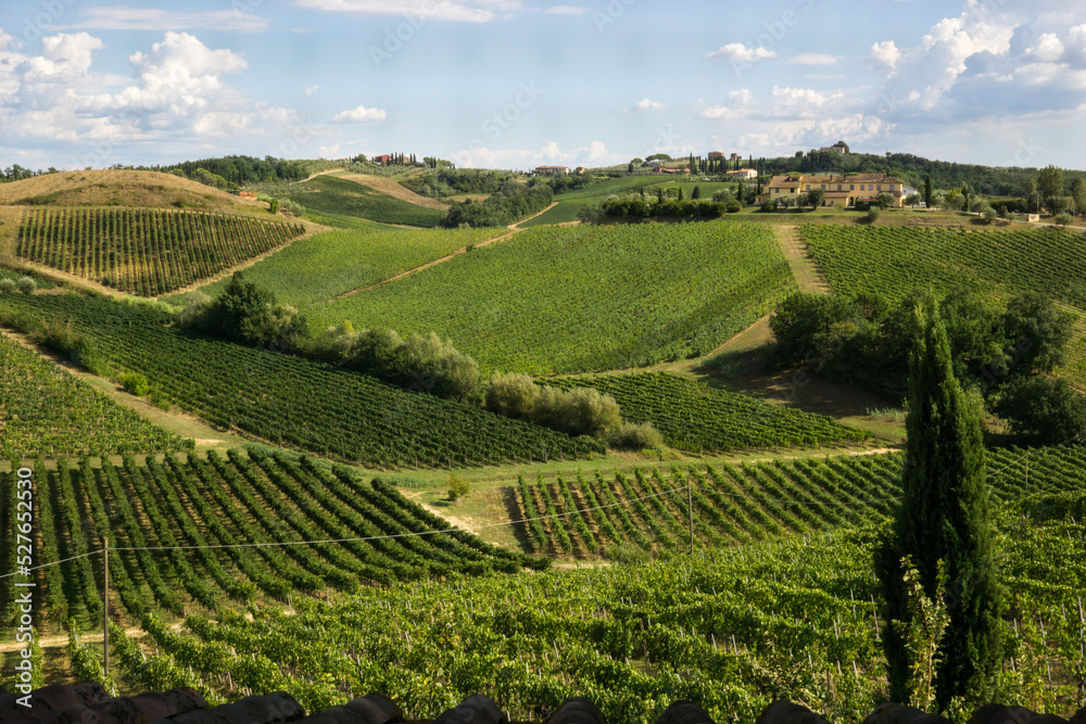 Florence,Tuscany, Italy August 2022: Beautiful vineyards in the Tuscan countryside