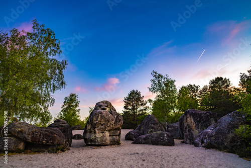 Natural forest in Fontainebleau