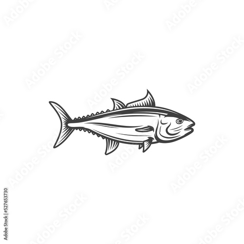 Tuna fish, fishing and food, ocean and marine fish vector icon. Tuna, bluefin skipjack or yellowfin bigeye fish symbol for fishery market catch or seafood menu