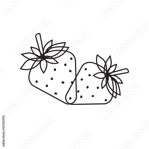 Strawberry vector icon line art version set on white background