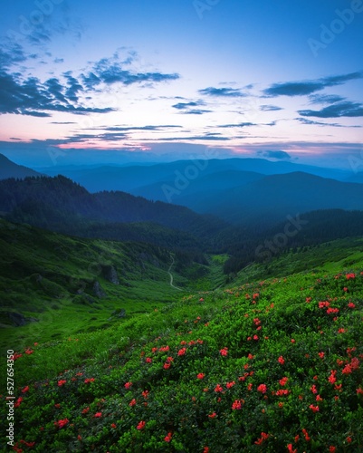 scenic nature scenery, awesome sunset landscape, beautiful morning background in the mountains, Carpathian mountains, Ukraine, Europe 