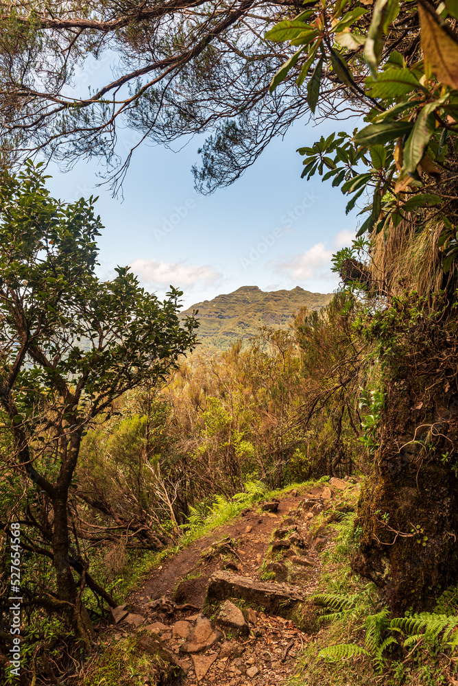 Verada do Encumeada hiking trail in Madeira