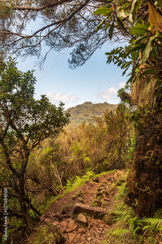 Verada do Encumeada hiking trail in Madeira © honza28683